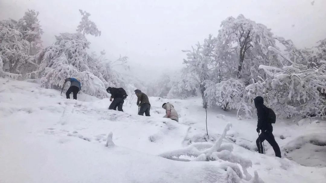 赵公山天气_赵公山_赵公山在哪里