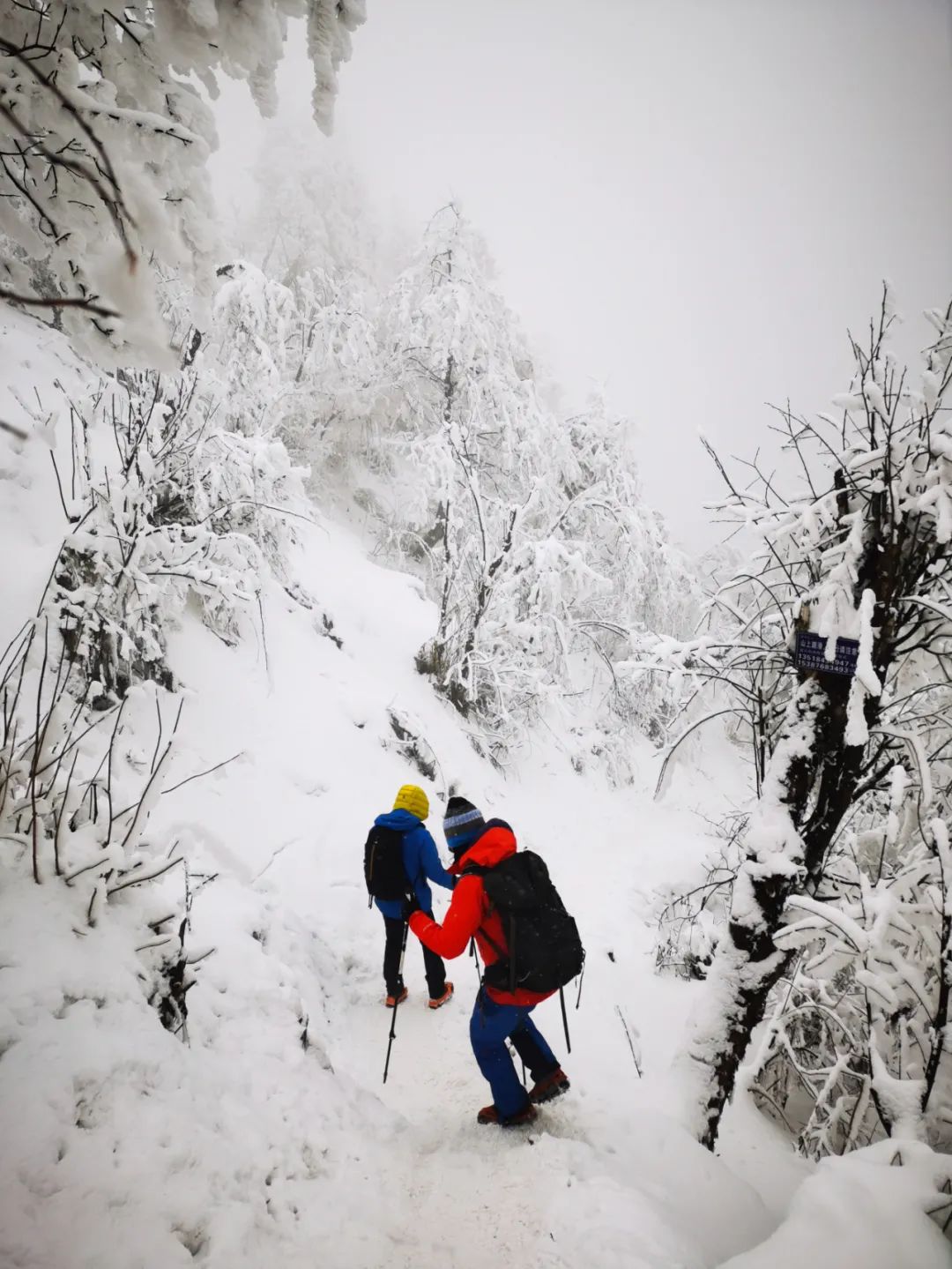 赵公山在哪里_赵公山天气_赵公山